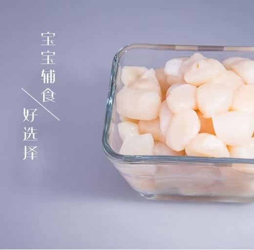 大连长海 壮元海原浆贝丁 今年新货特别肥 商品图3