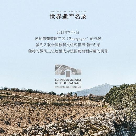 【勃艮第核心产区】丹特庄园·原瓶进口干红葡萄酒  12.5%vol 商品图9
