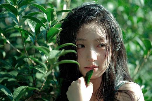 Kira Fairy（kirafairy）半年抛 雨后清澈 直径14.5mm着色13.8mm 商品图1