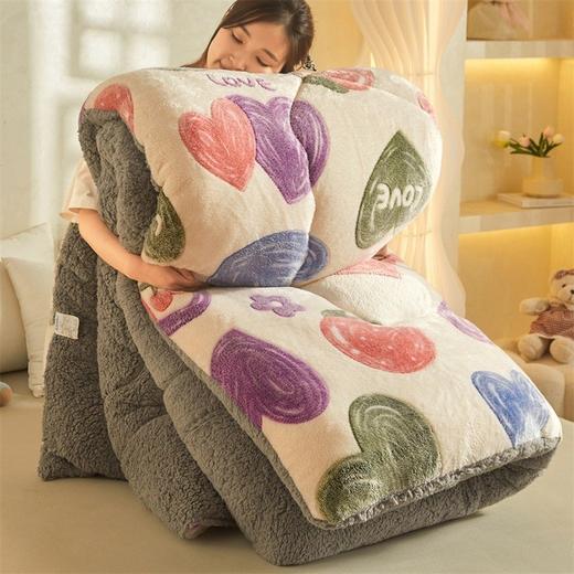 冬季棉被单人双人双面羊羔绒被子加厚保暖雪花绒家用宿舍被芯 商品图5