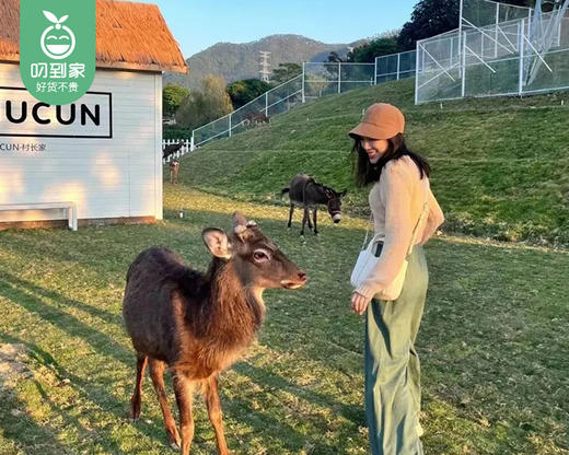 漳州龙海|蜗牛村山林蜗居大/双床房1间/1晚（周末.元旦不加价）【叼生活】 商品图2