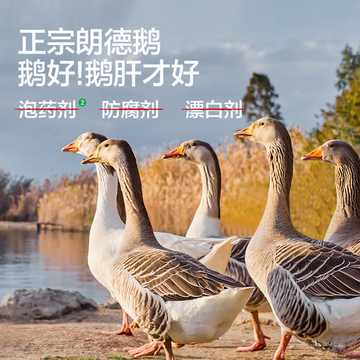 【宝宝馋了】冷链包点  3件起发 商品图3