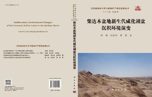 柴达木盆地新生代咸化湖盆沉积环境演变 商品图3