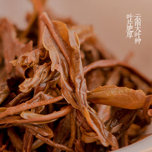 普洱生茶 | 2023云南春茶勐海大叶种晒青原料，3年份原料。罐装6袋便携装 | 清爽微苦秒回甘明黄透亮 鲜爽山野味 商品图1
