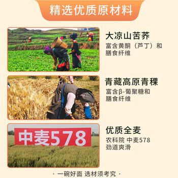 农科优品中国农科院青稞荞麦面350g*2 挂面苦荞面无糖精早餐粗粮杂粮面条 /粮油调味 /挂面 /风味挂面 商品图0