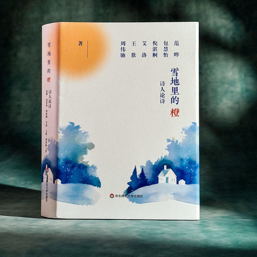 雪地里的橙 诗人论诗 精装 诗集 中国文学 商品图3