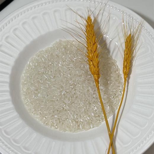 疯抢中！！25年10月新米【五常稻花香2号·有机大米】原产地直发 三标认证PICC承保 执行标准GB/T19266 5/10斤包装 商品图10