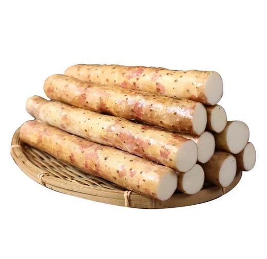 绿色认证，地标认证，河北蠡县小白嘴山药（无农残，带土） 商品图3