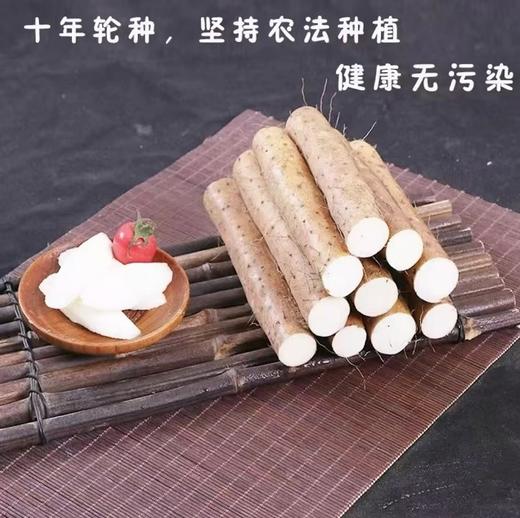 绿色认证，地标认证，河北蠡县小白嘴山药（无农残，带土） 商品图6