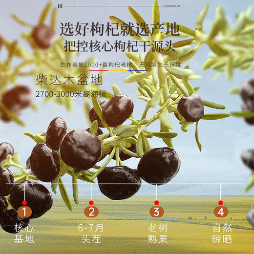 【福东海】黑枸杞250克 瓶装 商品图4