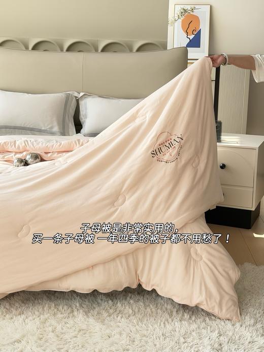 秋冬大豆子母被 柔软保暖四季可用被芯 商品图10