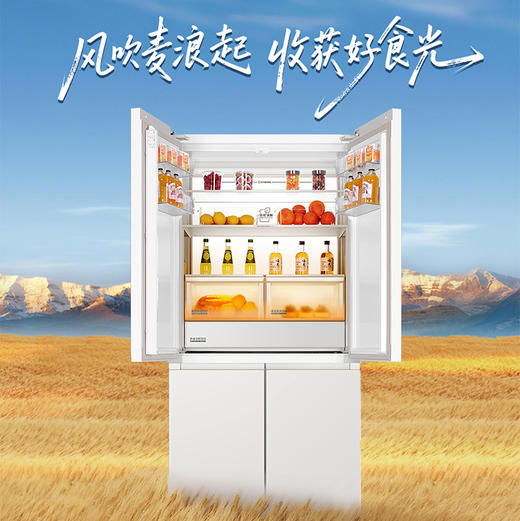 海尔（Haier）冰箱 BCD-573WGHTD1BYAU1 商品图5