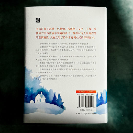 雪地里的橙 诗人论诗 精装 诗集 中国文学 商品图2