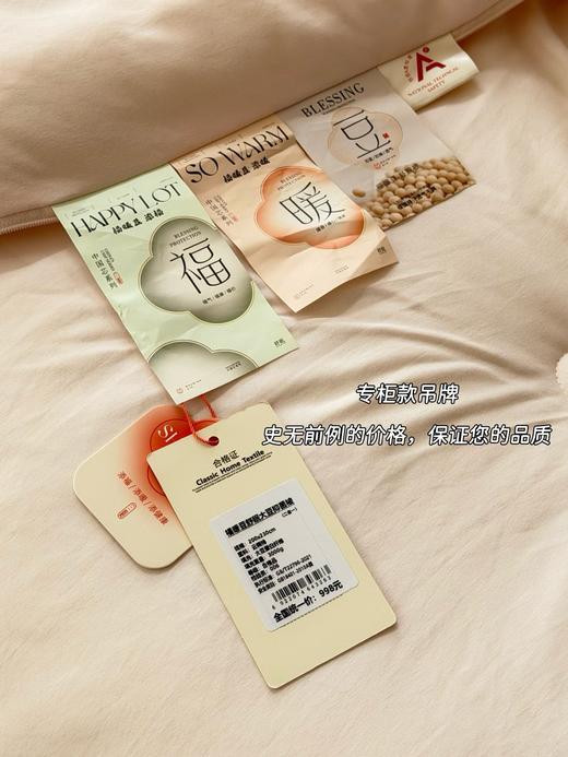 秋冬大豆子母被 柔软保暖四季可用被芯 商品图11