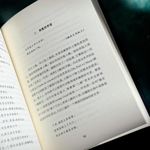 雪地里的橙 诗人论诗 精装 诗集 中国文学 商品图10