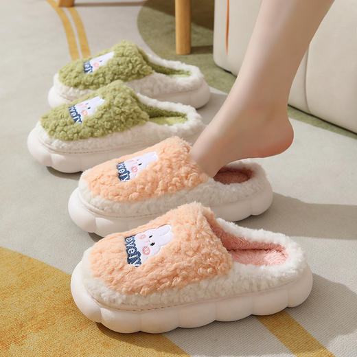 2024新款棉拖鞋女冬室内家居家用卡通可爱厚底保暖情侣毛毛拖鞋男 商品图2