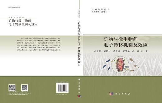 矿物与微生物间电子转移机制及效应 商品图3