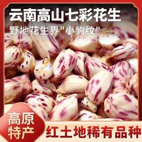 云南老品种七彩花生400g 原味/咸干味 人工挑选 颗粒饱满