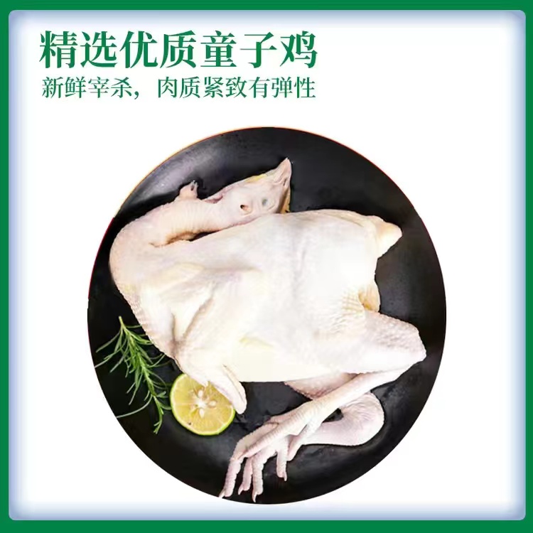 【200积分+69元】物源初见 童子鸡 林间散养天然健康