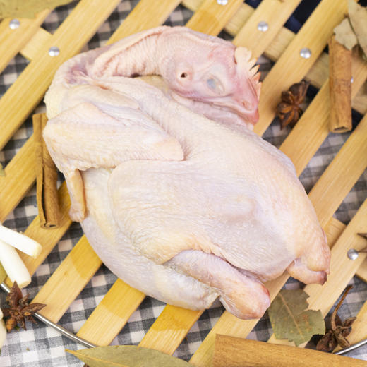 【200积分+69元】物源初见 童子鸡 林间散养天然健康 商品图3