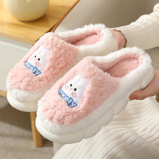 2024新款棉拖鞋女冬室内家居家用卡通可爱厚底保暖情侣毛毛拖鞋男 商品图1