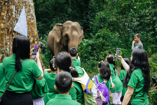 2026寒假【何以版纳】西双版纳5日亲子营 | 专属PBL项目式学习&原始森林公园研学通道+野像谷 vip 体验&5钻酒店4晚连住！ 商品图1