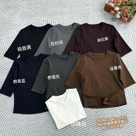 T56388-1#3W+中袖质感百搭王