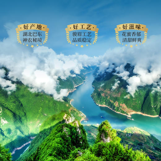 正山堂巴东红 巫峡小叶茶 骏眉中国湖北特级红茶罐装正宗蜜香茶叶 商品图3