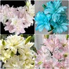 【满眼皆是重瓣百合】女神重瓣百合多头1支4朵+泽塔重瓣百合3头1支3朵+冲浪者重瓣百合1支4朵+碧海蓝吸色重瓣百合1支4朵/份 商品缩略图0