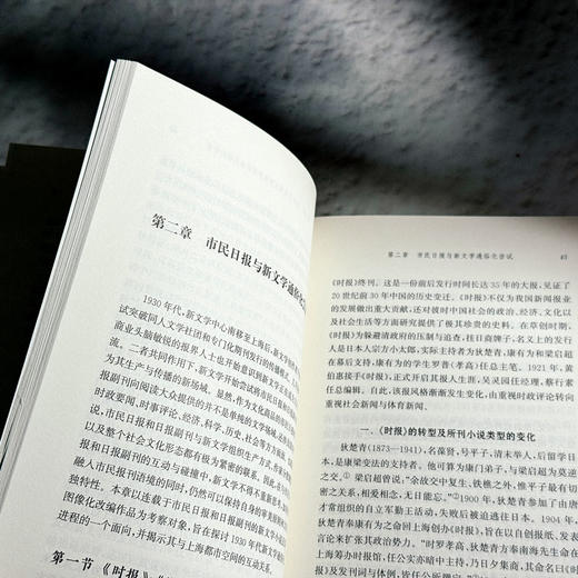 通俗化与新文学变迁 以上海报刊小说为中心 1927—1937 许海洋 商品图10