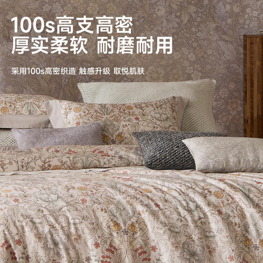 臻品100支磨毛四件套(威尼克斯) 商品图2