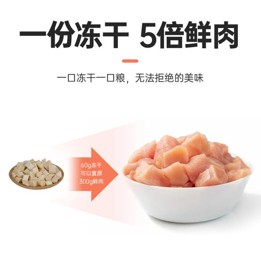 6️⃣【福利囤货】【2 包 85 折】【4 包 8 折】冻干双拼猫粮 成猫4斤装 商品图3