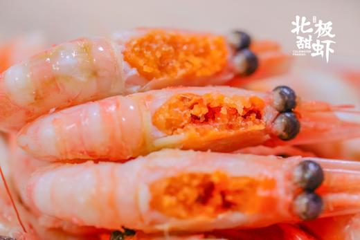 【北极甜虾 头籽/腹籽1.5kg装】北冰洋和北大西洋的深海馈赠，纯野生，头籽，肉质紧实Q弹，自带鲜甜，解冻即食 商品图1