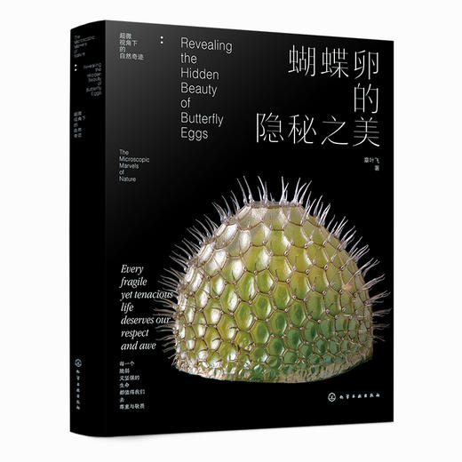 蝴蝶卵的隐秘之美 商品图1