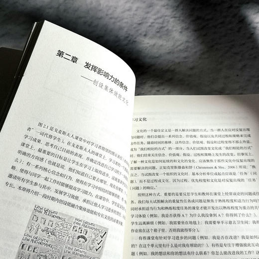 造就专家型学习者 打开充满自信和能力卓然的成长通道 大夏书系 培养学习力译丛 商品图9