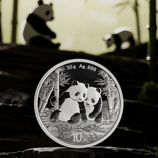 【新品现货】中国金币2026版熊猫金银纪念币 中国人民银行限量发行 商品图1