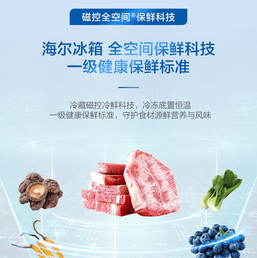 海尔（Haier）冰箱 BCD-602WGHFD2BGWU1 商品图6