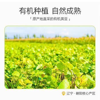 素稷（ECOPURE）有机黄豆400g颗粒饱满搭配大米小米打豆浆破壁机早餐煮黄豆猪脚 /粮油调味 /杂粮 /杂豆类 商品图5
