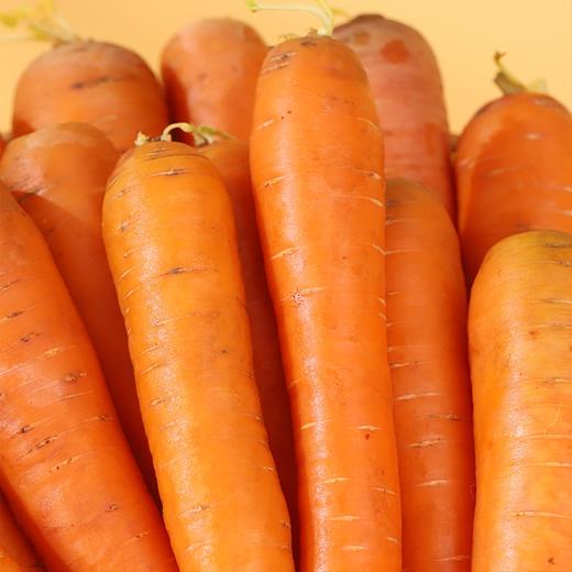 心无杂念的胡萝卜，扎根高原，才能甜得毫无杂质 内蒙高原胡萝卜 5斤/箱 商品图2