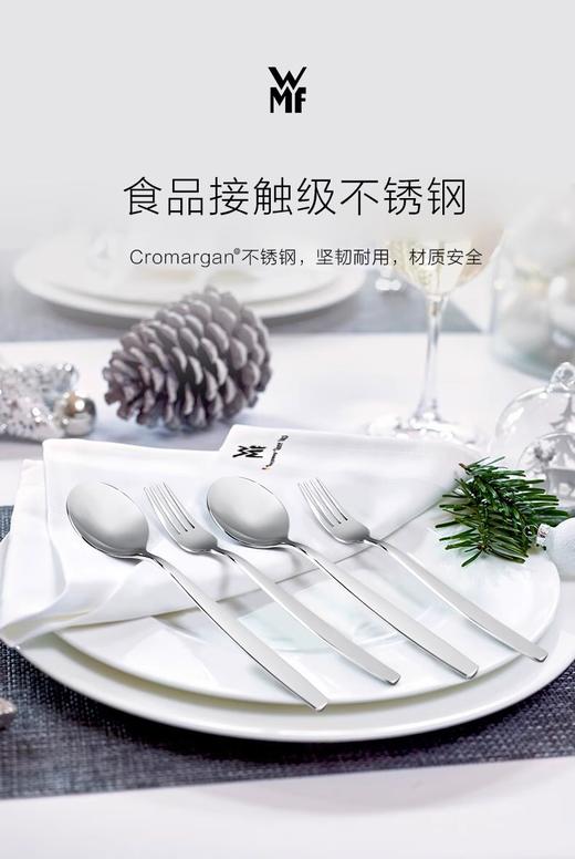 WMF福腾宝 不锈钢餐勺餐叉 餐厅西餐具套装礼盒装甄选 Bistro系列勺叉 8件套_ymt 商品图3