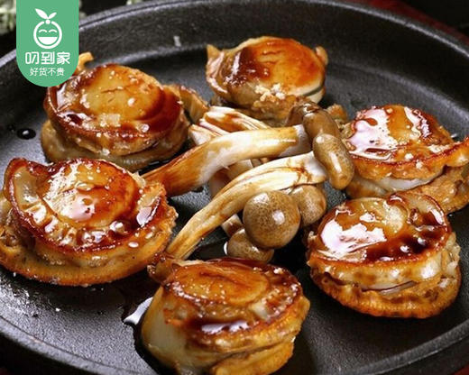 本港鲜剥扇贝肉/1份（约250g） 商品图4