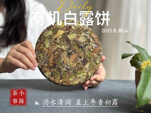 [2025有机白露饼]十年来的第一款有机白茶饼，2025有机白露饼沁凉、醇滑，花香、果香、木质香！（2饼及8饼收藏装） 商品图1