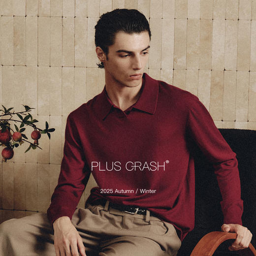 PLUS CRASH2025秋冬新款100%极细美丽诺羊毛一体海鸥领针织羊毛衫 商品图0