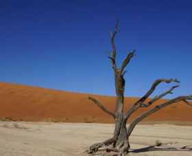 【春节】<非洲四国·纳米比亚、津巴布韦、赞比亚、博茨瓦纳12天>维多利亚大瀑布、赞比西河游船、乔贝国家公园、苏斯斯黎红沙漠、鲸湾港口出海、三明治湾冲沙、辛巴红人部落