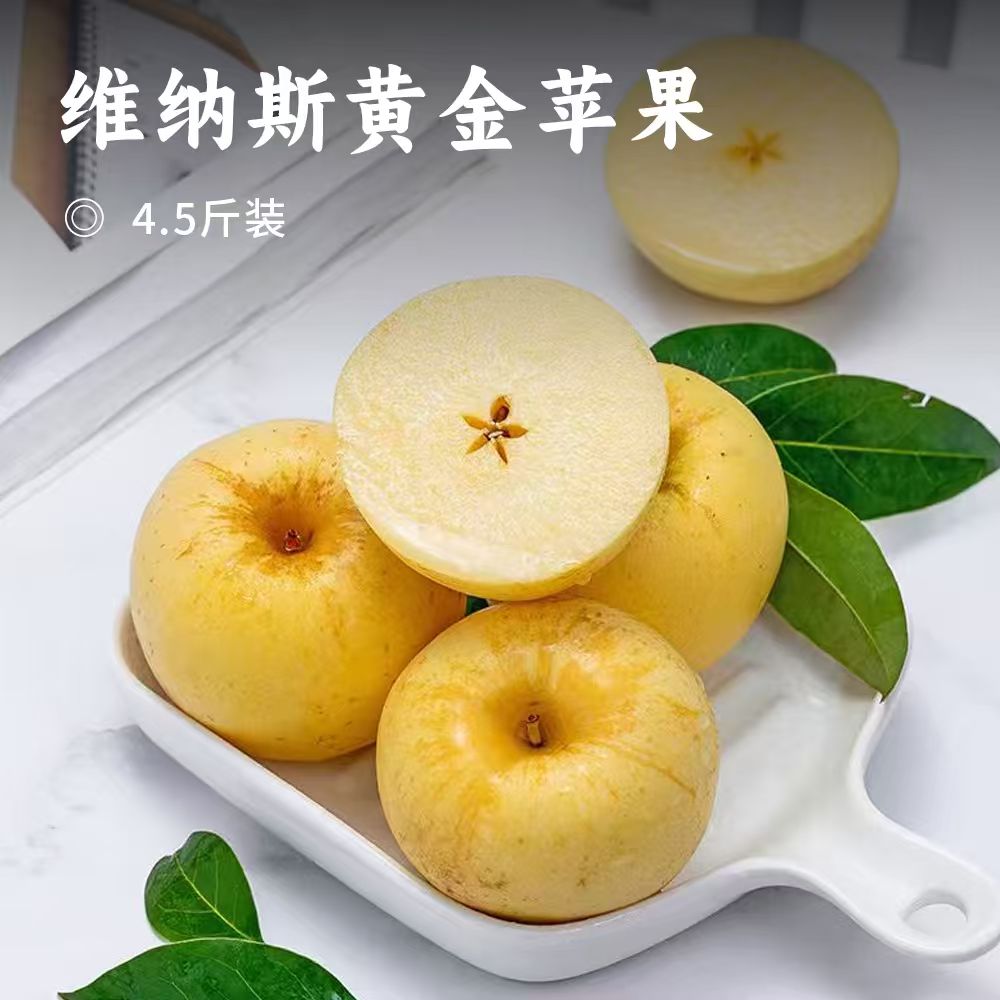 维纳斯黄金苹果 | 脆甜浓香的贵族金苹果 ! 奶油金外表下果香浓郁 果肉酥脆化渣 汁水充盈 甜蜜无酸