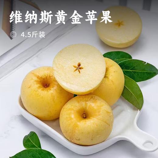 维纳斯黄金苹果 | 脆甜浓香的贵族金苹果 ! 奶油金外表下果香浓郁 果肉酥脆化渣 汁水充盈 甜蜜无酸 商品图0