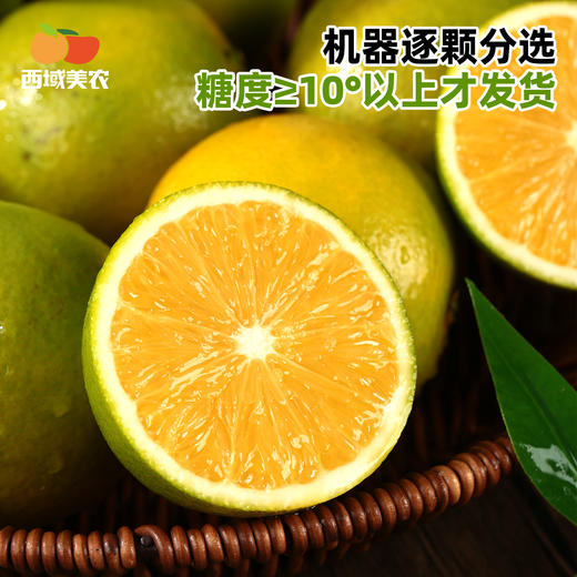 西域美农 云南哀牢山 冰糖橙 橙子 果肉细腻多汁 顺丰发货 商品图1