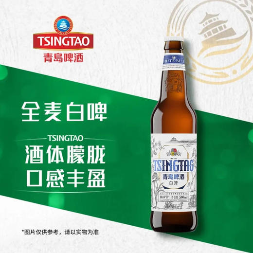 【白啤】青岛啤酒 白啤10°P 500ml/瓶 商品图0