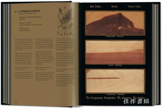 Romeyn B. Hough. The Woodbook. The Complete Plates / 罗梅恩·B·霍夫. 木材图谱：完整版/ Taschen 出版 商品图1