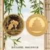 预定！2026年熊猫纪念币！中国人民银行 商品缩略图13